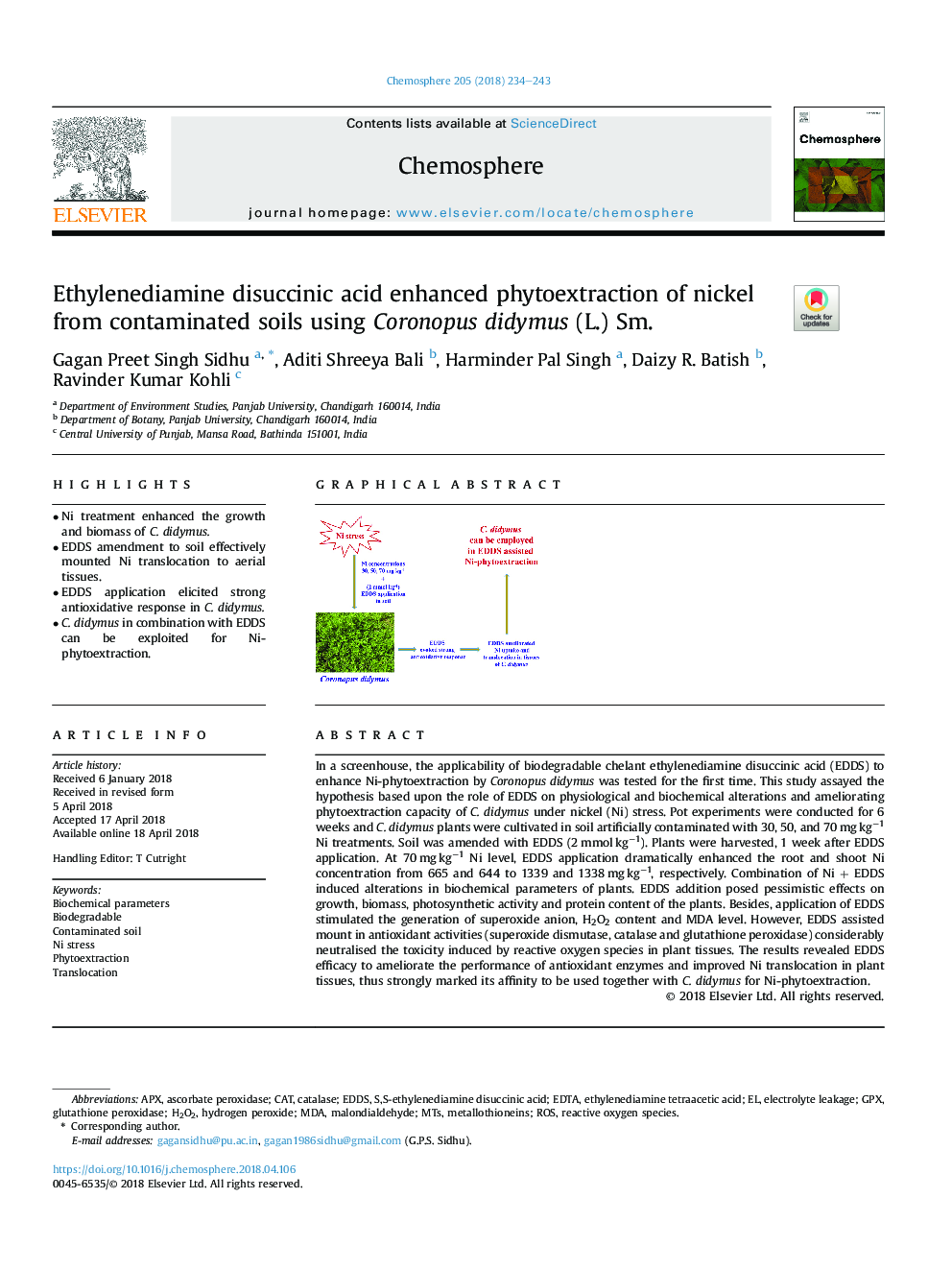 Ethylenediamine disuccinic acid enhanced phytoextraction of nickel from contaminated soils using Coronopus didymus (L.) Sm.