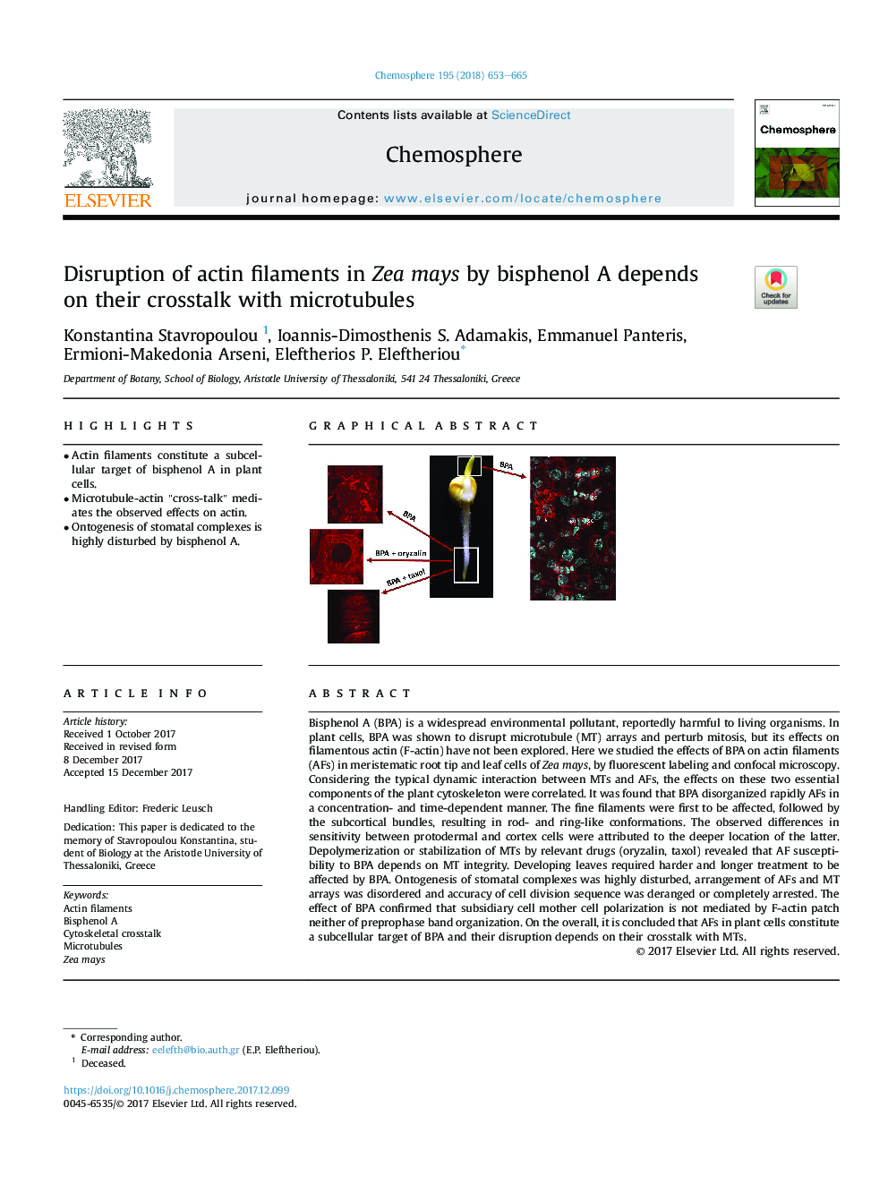 Disruption of actin filaments in Zea mays by bisphenol A depends on their crosstalk with microtubules