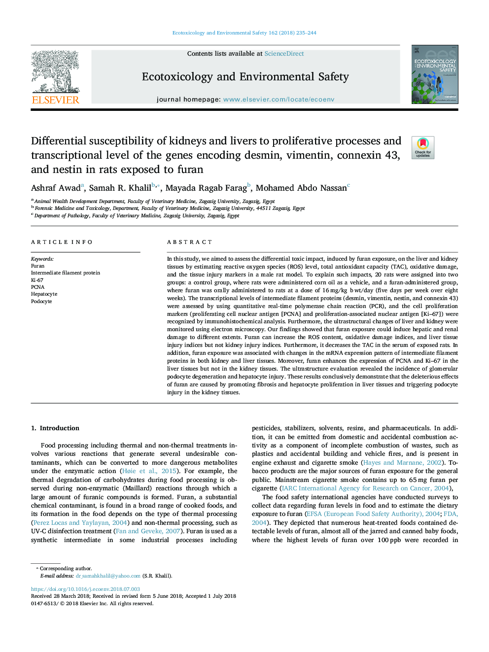 Differential susceptibility of kidneys and livers to proliferative processes and transcriptional level of the genes encoding desmin, vimentin, connexin 43, and nestin in rats exposed to furan