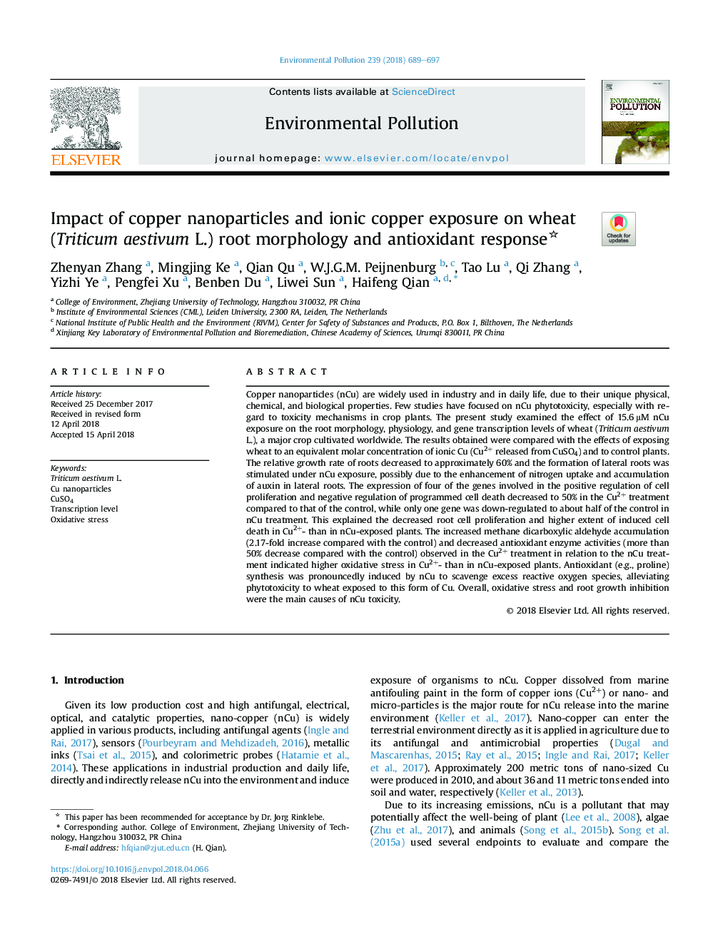 Impact of copper nanoparticles and ionic copper exposure on wheat (Triticum aestivum L.) root morphology and antioxidant response