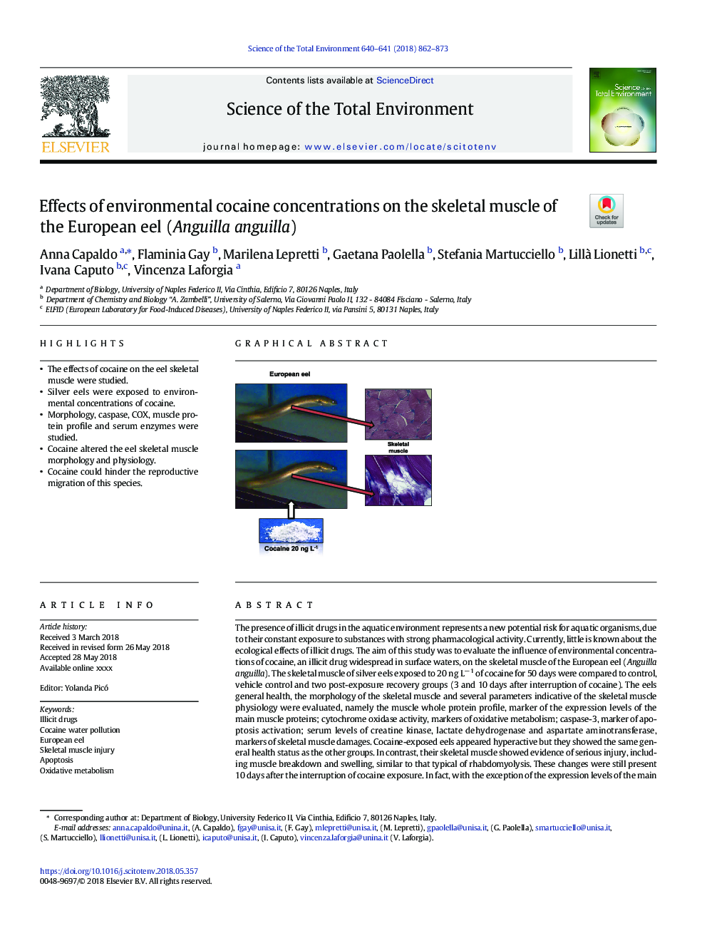 Effects of environmental cocaine concentrations on the skeletal muscle of the European eel (Anguilla anguilla)