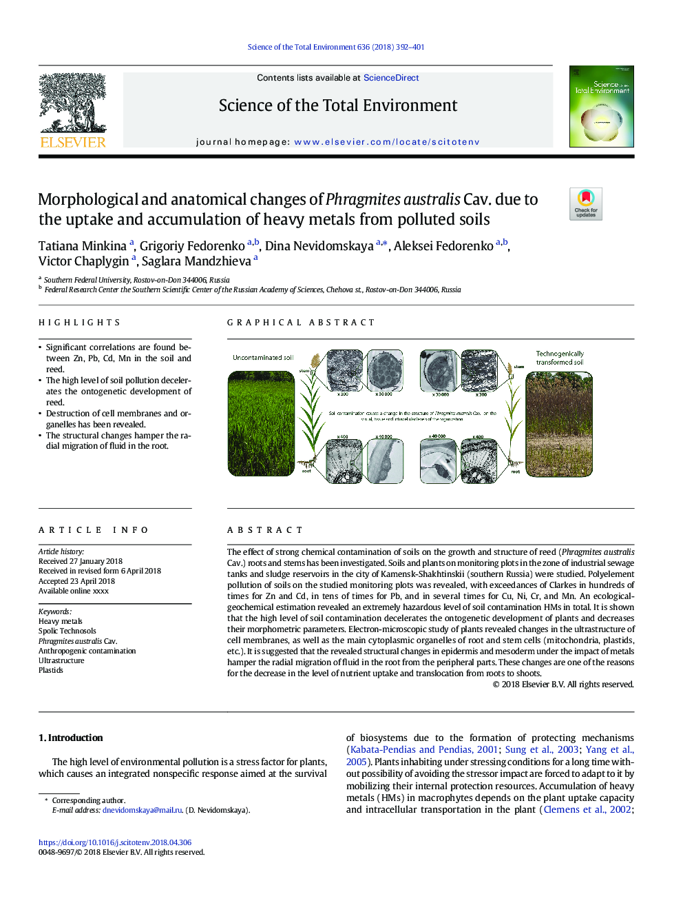 Morphological and anatomical changes of Phragmites australis Cav. due to the uptake and accumulation of heavy metals from polluted soils