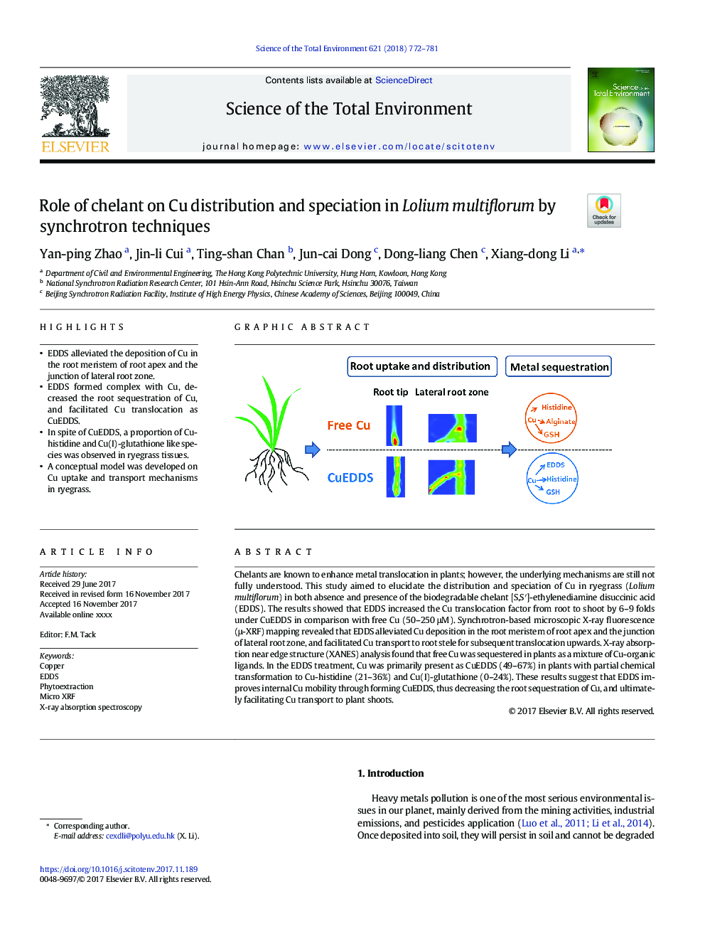 Role of chelant on Cu distribution and speciation in Lolium multiflorum by synchrotron techniques