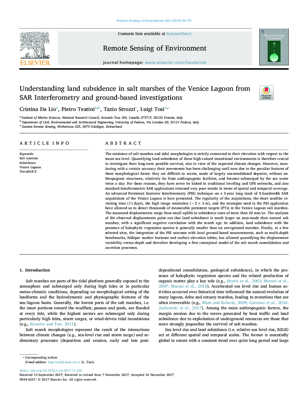 Understanding land subsidence in salt marshes of the Venice Lagoon from SAR Interferometry and ground-based investigations