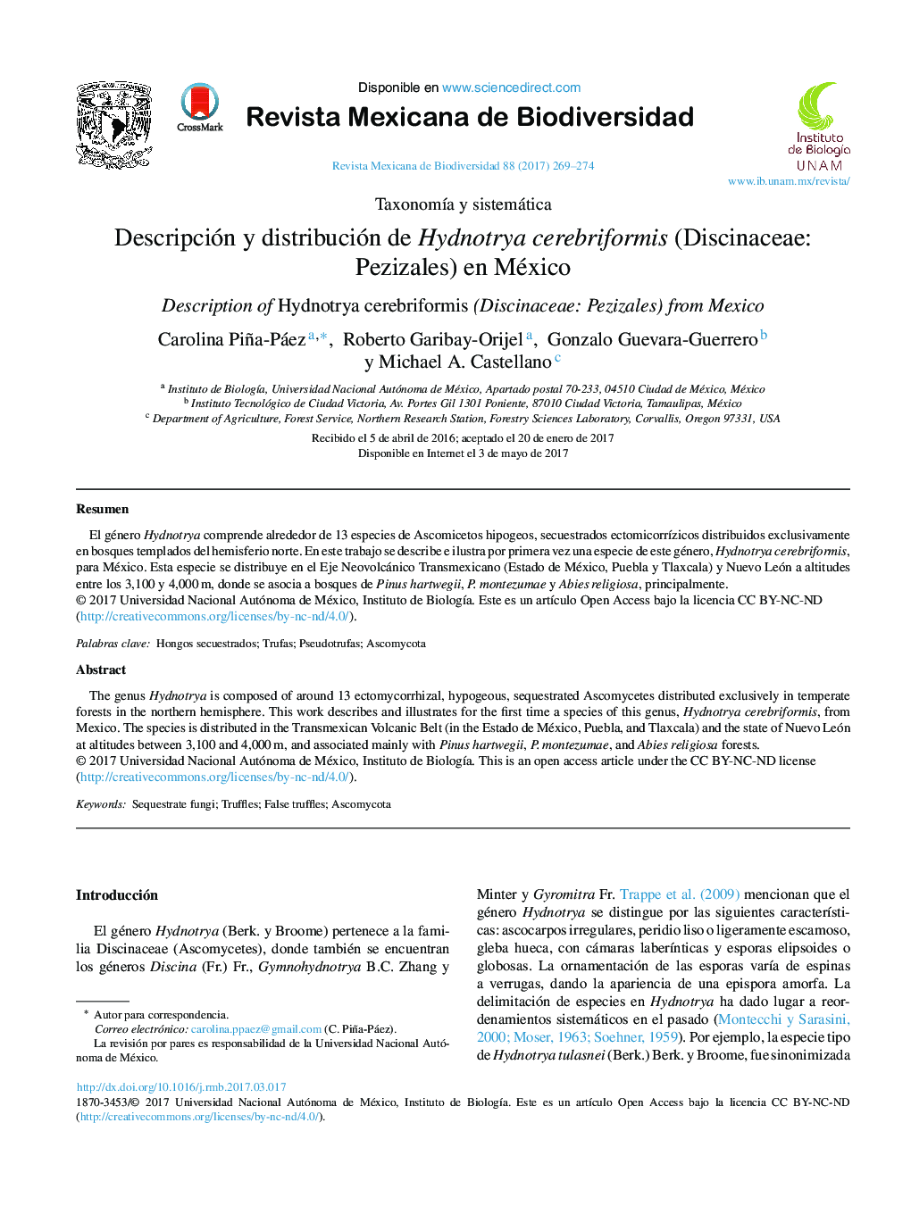 Descripción y distribución de Hydnotrya cerebriformis (Discinaceae: Pezizales) en México