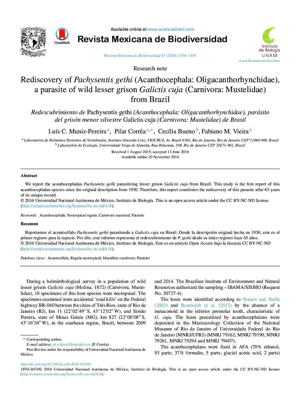 Rediscovery of Pachysentis gethi (Acanthocephala: Oligacanthorhynchidae), a parasite of wild lesser grison Galictis cuja (Carnivora: Mustelidae) from Brazil