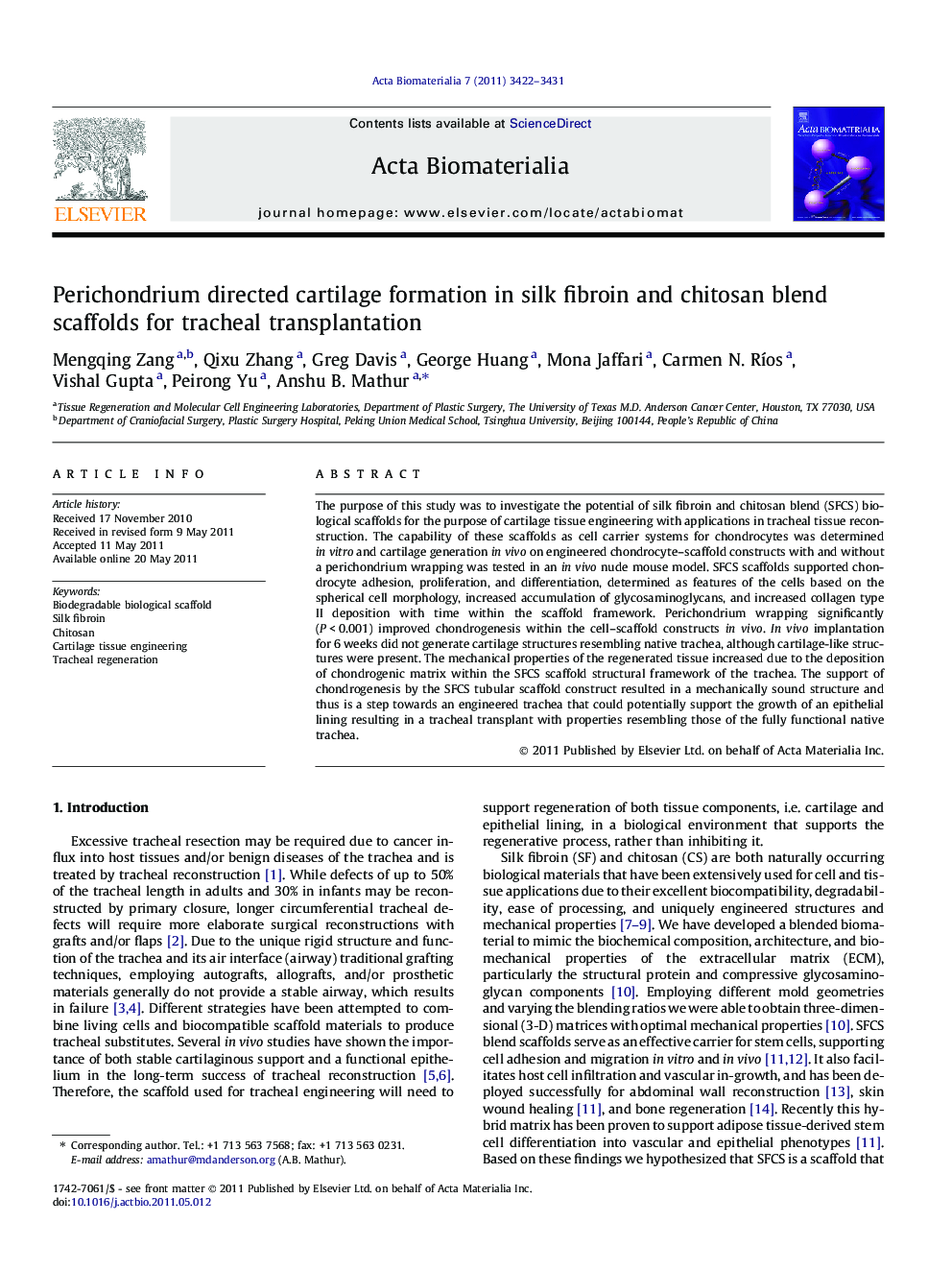 Perichondrium directed cartilage formation in silk fibroin and chitosan blend scaffolds for tracheal transplantation