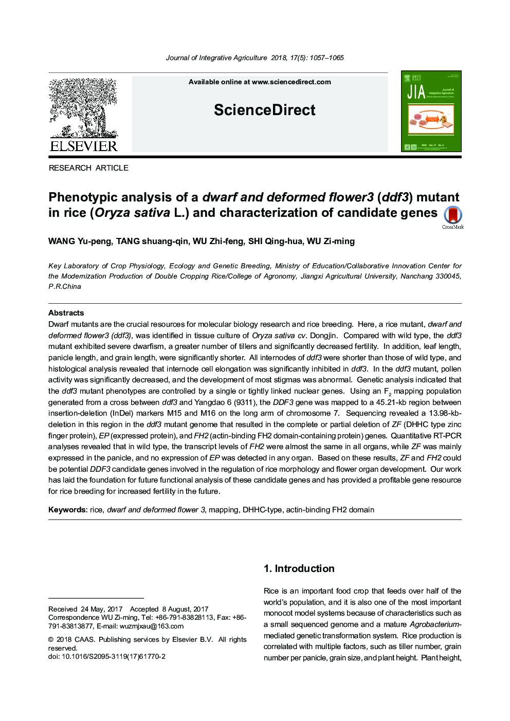 Phenotypic analysis of a dwarf and deformed flower3 (ddf3) mutant in rice (Oryza sativa L.) and characterization of candidate genes