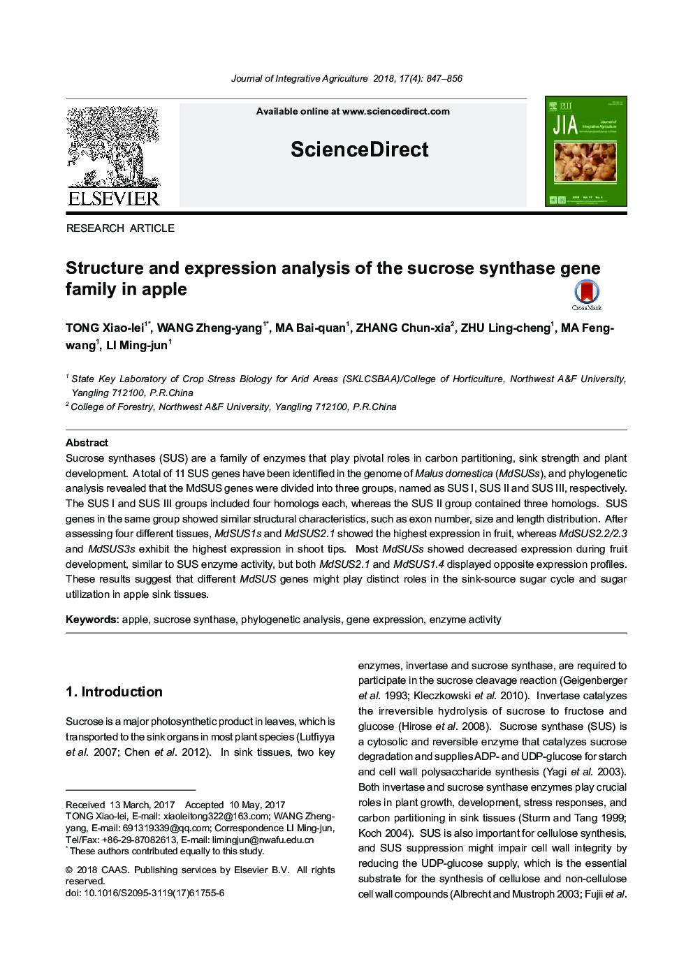 Structure and expression analysis of the sucrose synthase gene family in apple