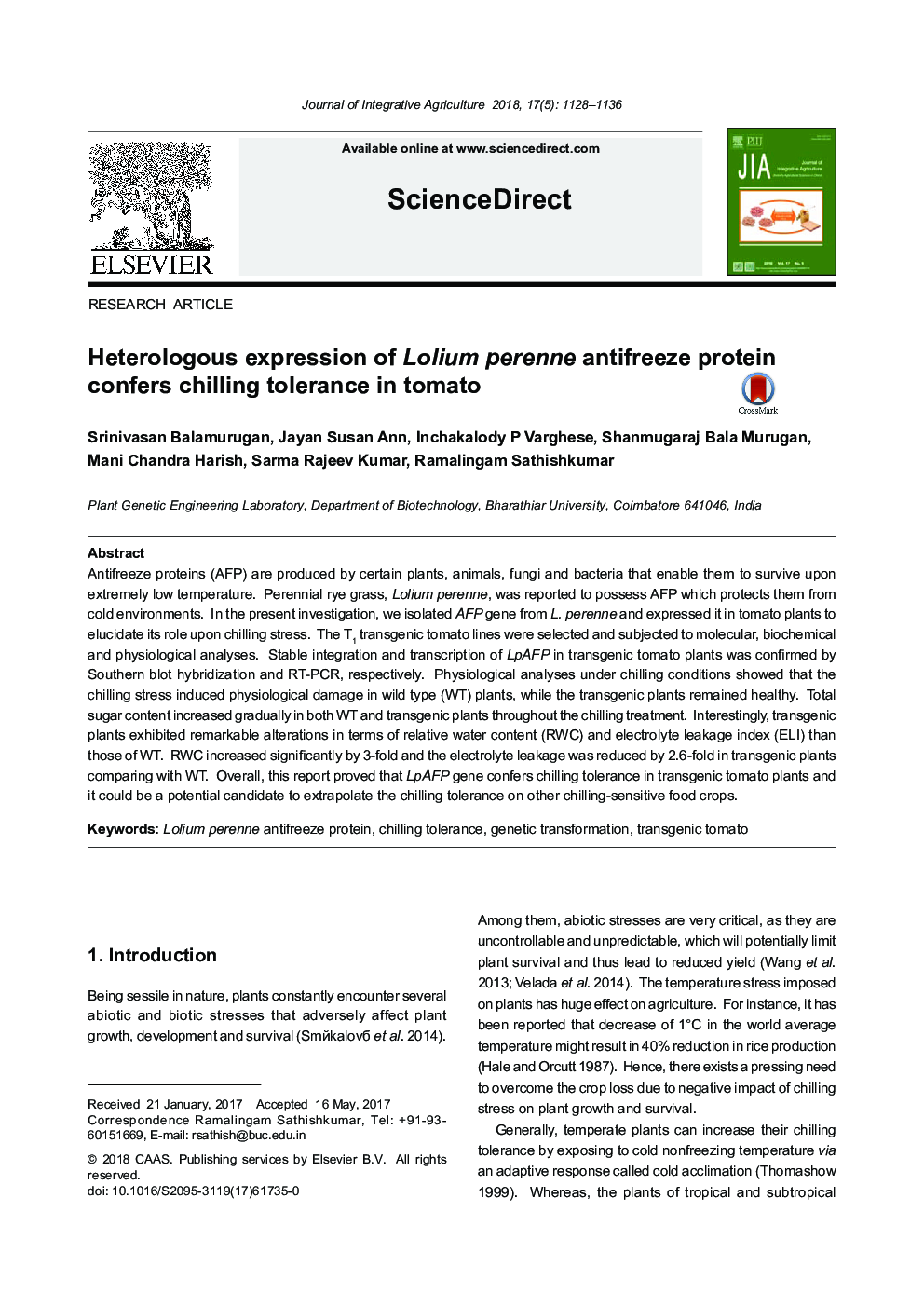 Heterologous expression of Lolium perenne antifreeze protein confers chilling tolerance in tomato