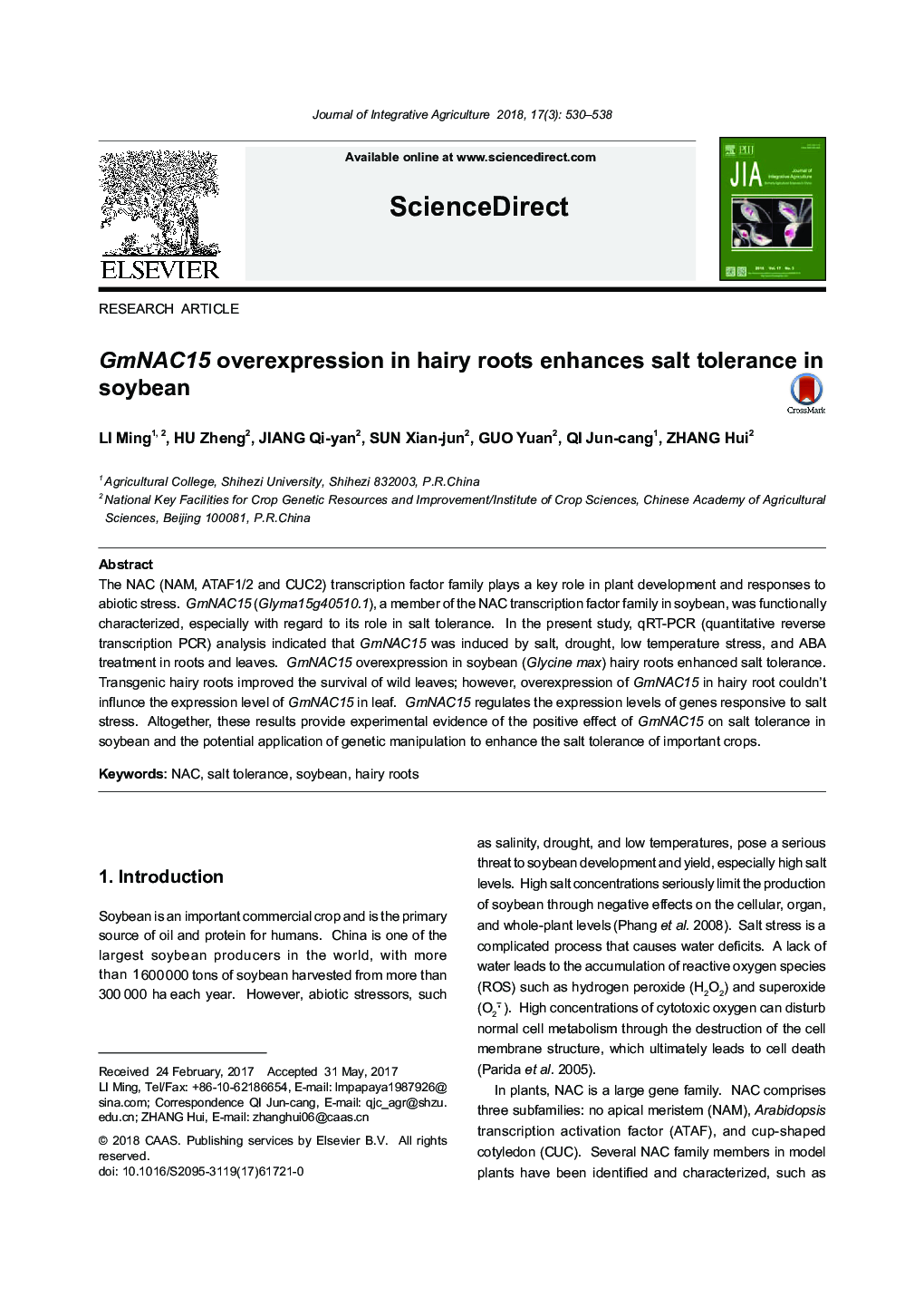 GmNAC15 overexpression in hairy roots enhances salt tolerance in soybean