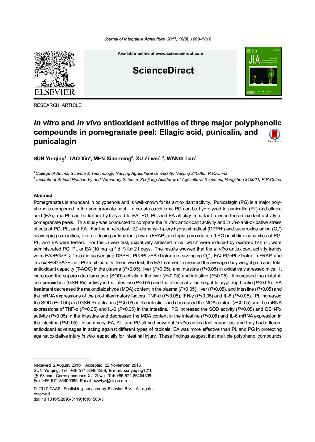 In vitro and in vivo antioxidant activities of three major polyphenolic compounds in pomegranate peel: Ellagic acid, punicalin, and punicalagin