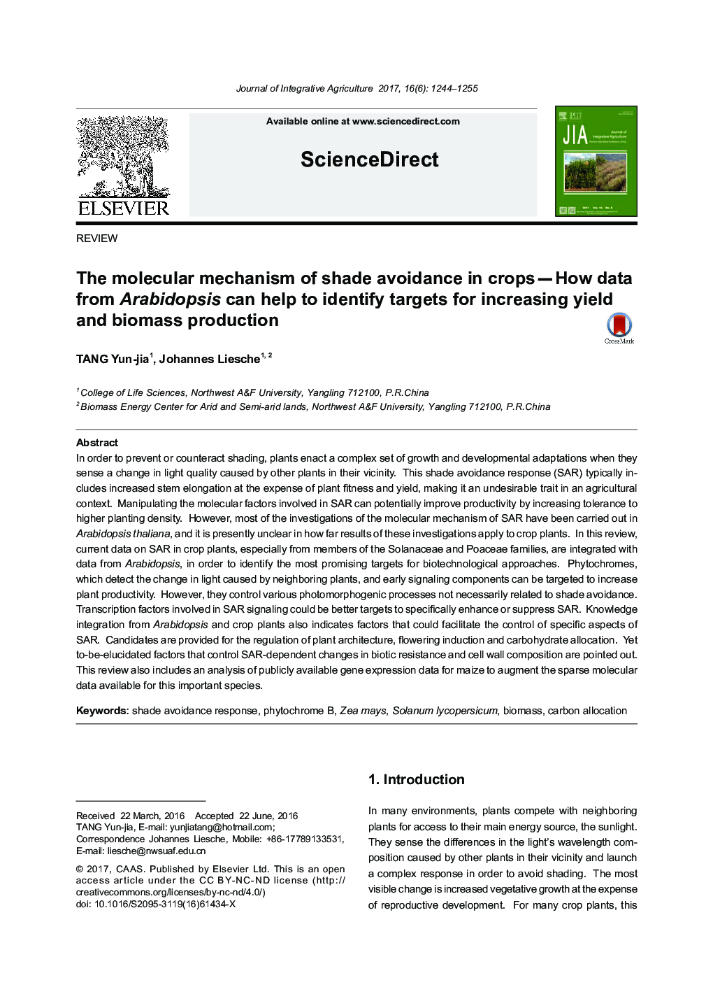 The molecular mechanism of shade avoidance in crops - How data from Arabidopsis can help to identify targets for increasing yield and biomass production