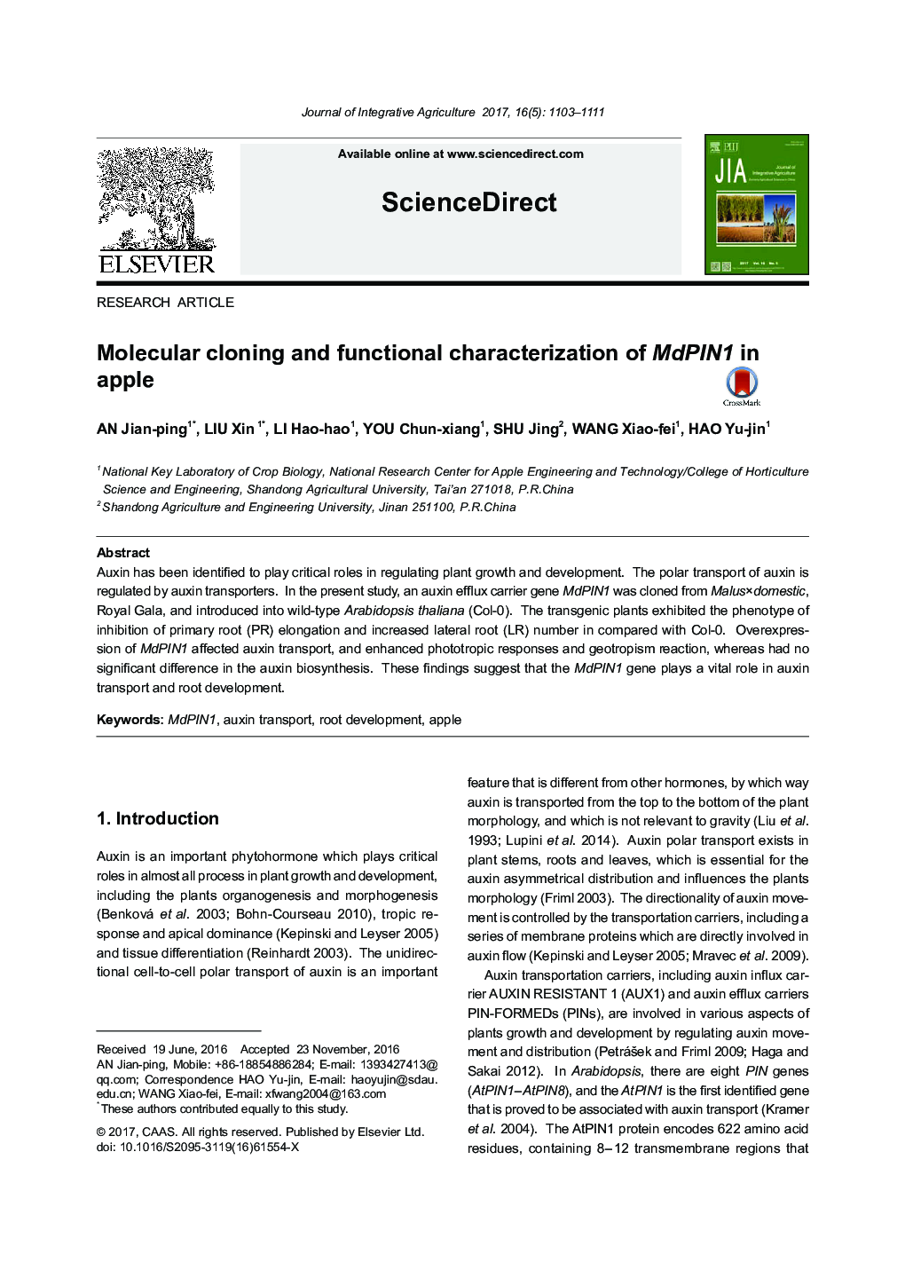 Molecular cloning and functional characterization of MdPIN1 in apple