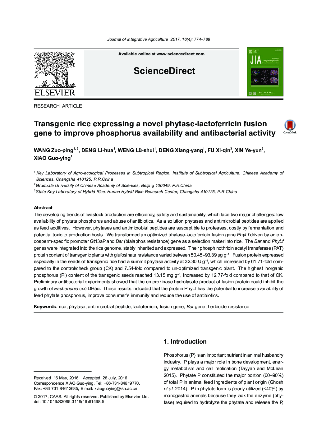 Transgenic rice expressing a novel phytase-lactoferricin fusion gene to improve phosphorus availability and antibacterial activity