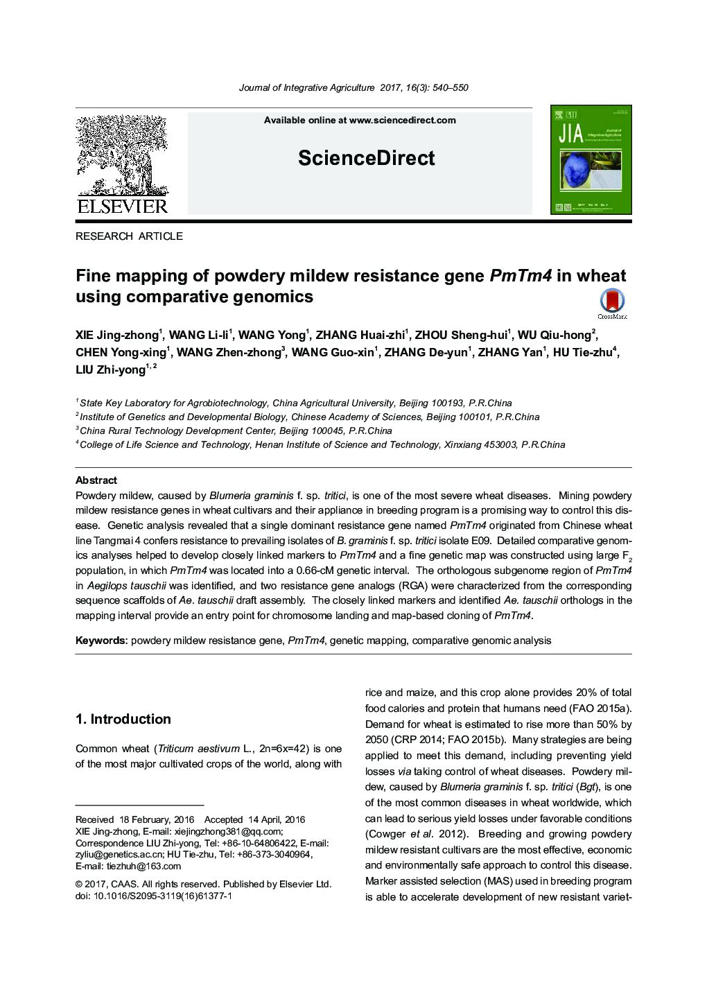 Fine mapping of powdery mildew resistance gene PmTm4 in wheat using comparative genomics