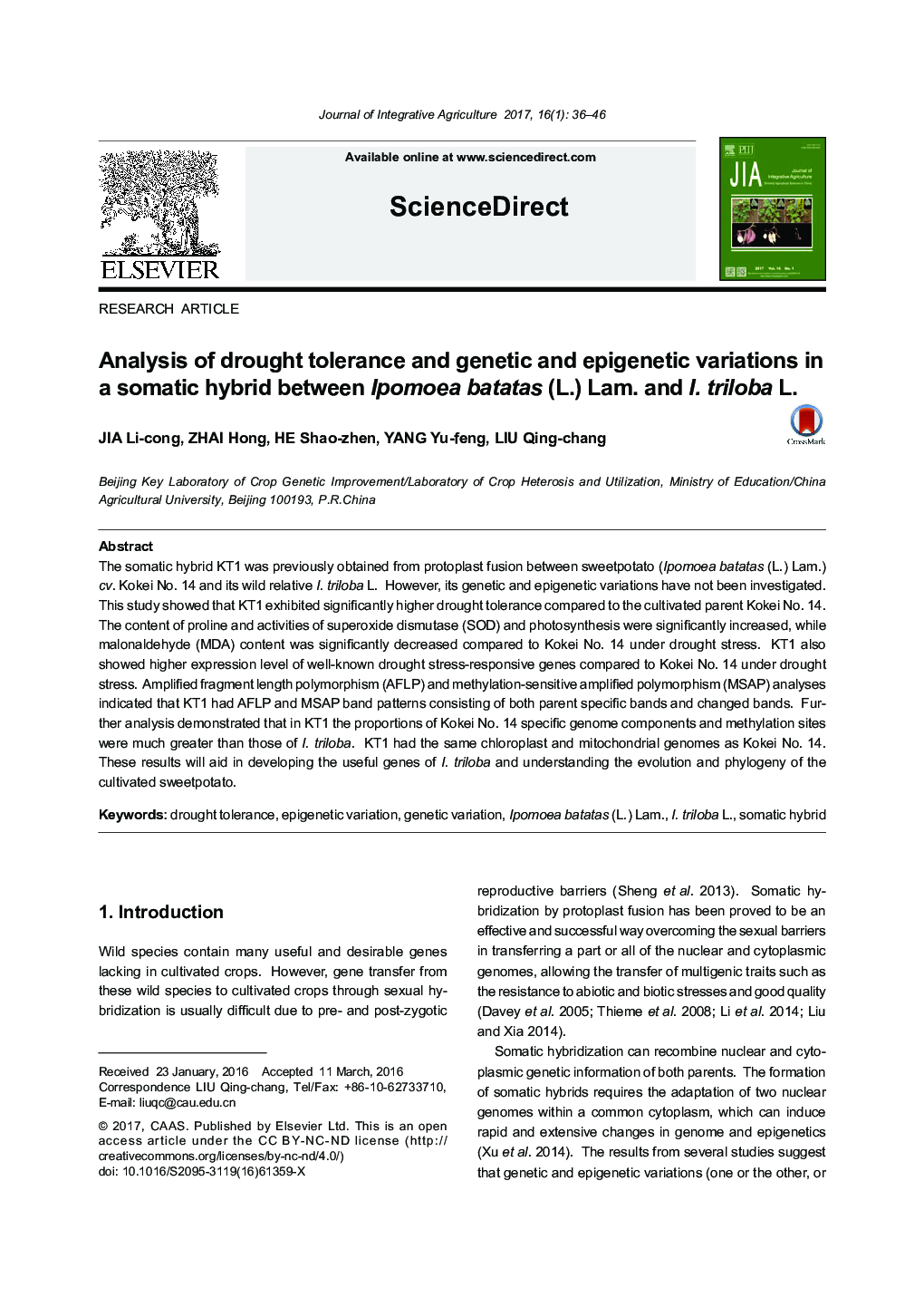 Analysis of drought tolerance and genetic and epigenetic variations in a somatic hybrid between Ipomoea batatas (L.) Lam. and I. triloba L.