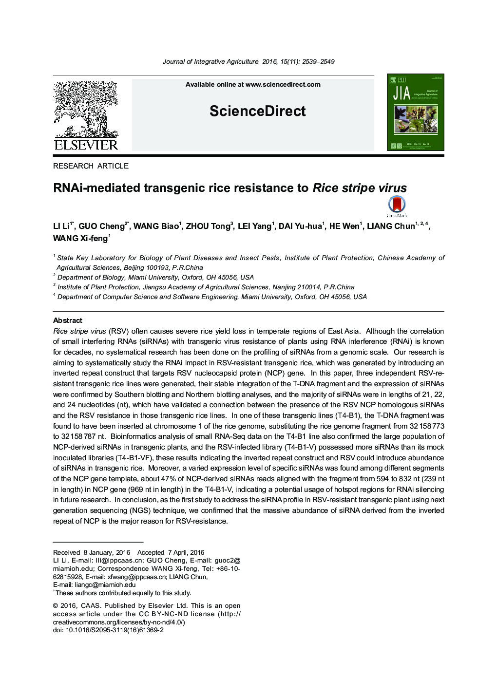 RNAi-mediated transgenic rice resistance to Rice stripe virus