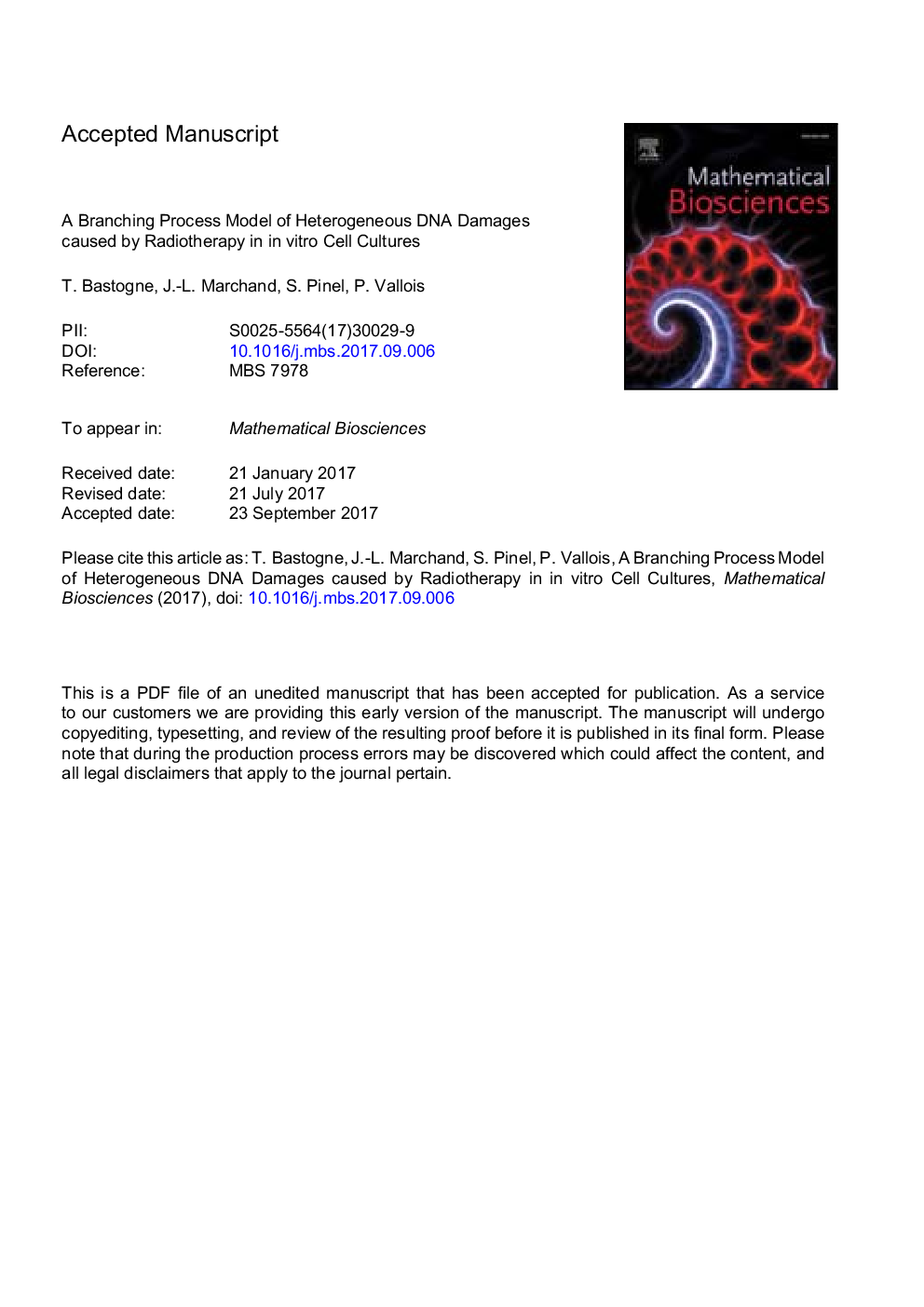 A branching process model of heterogeneous DNA damages caused by radiotherapy in in vitro cell cultures