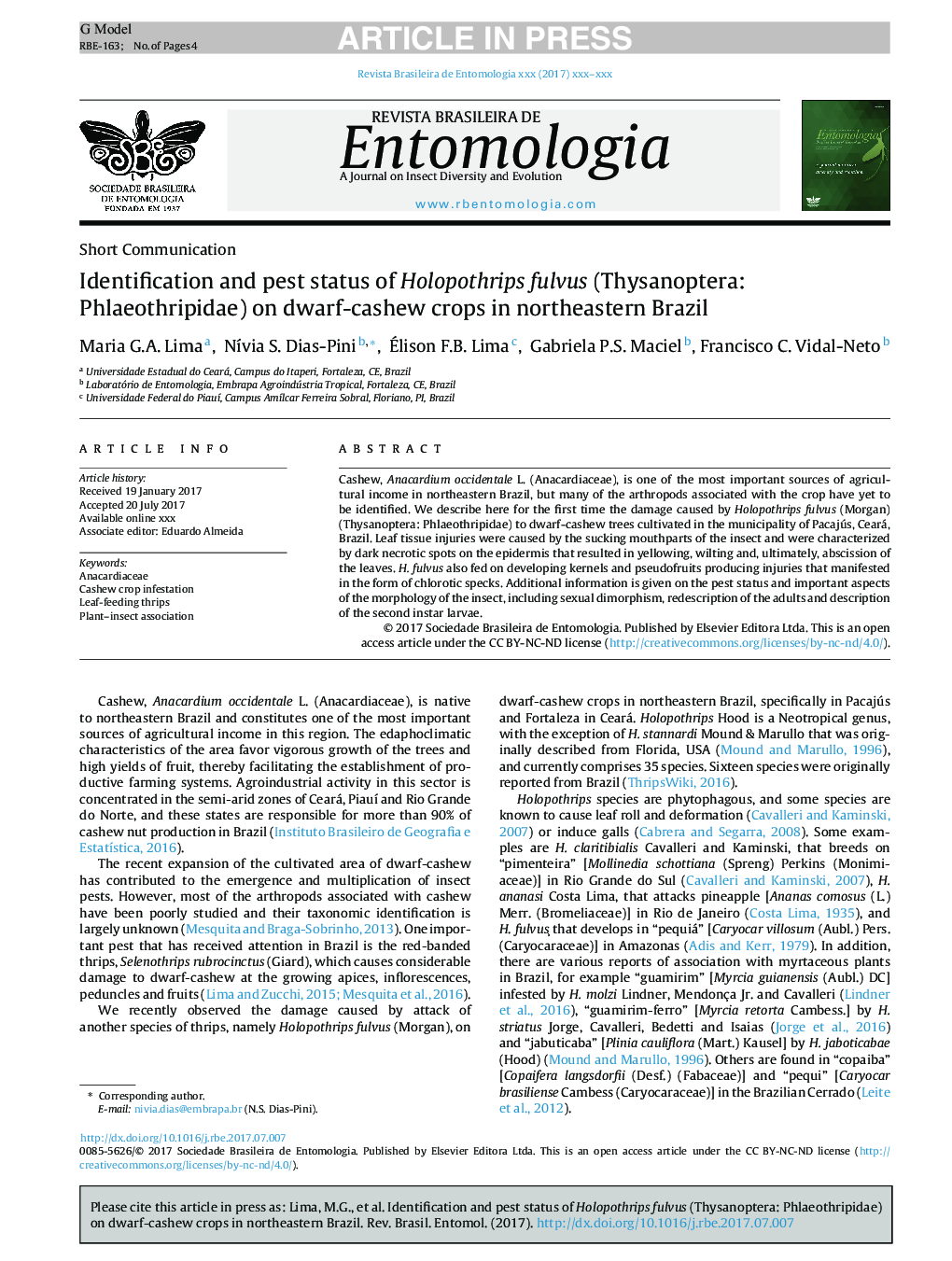 Identification and pest status of Holopothrips fulvus (Thysanoptera: Phlaeothripidae) on dwarf-cashew crops in northeastern Brazil