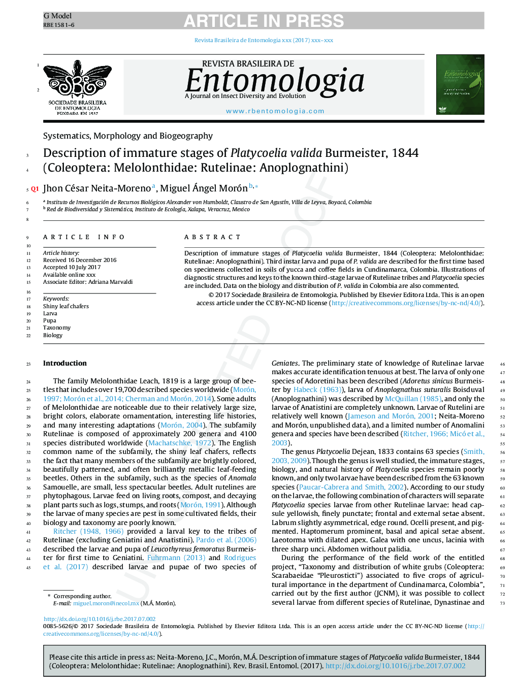 Description of immature stages of Platycoelia valida Burmeister, 1844 (Coleoptera: Melolonthidae: Rutelinae: Anoplognathini)