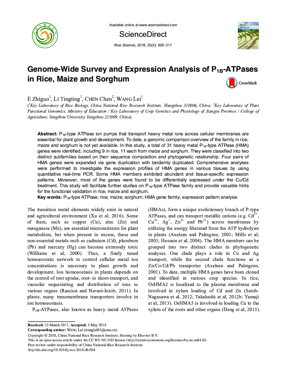 Genome-Wide Survey and Expression Analysis of P1B-ATPases in Rice, Maize and Sorghum