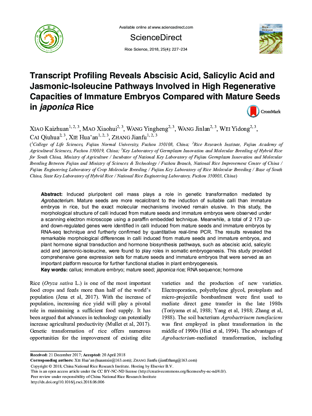 Transcript Profiling Reveals Abscisic Acid, Salicylic Acid and Jasmonic-Isoleucine Pathways Involved in High Regenerative Capacities of Immature Embryos Compared with Mature Seeds injaponicaRice