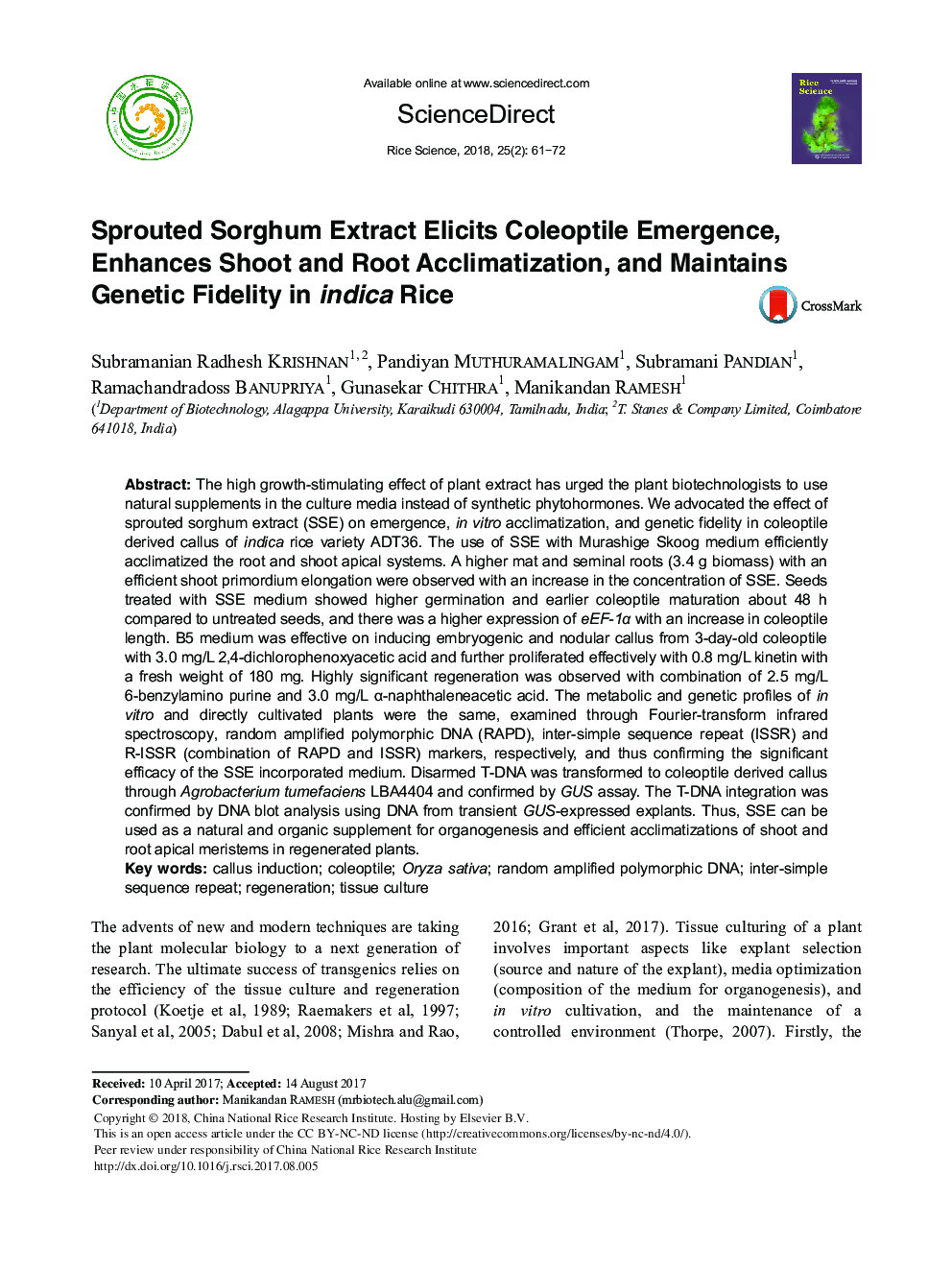 Sprouted Sorghum Extract Elicits Coleoptile Emergence, Enhances Shoot and Root Acclimatization, and Maintains Genetic Fidelity in indica Rice