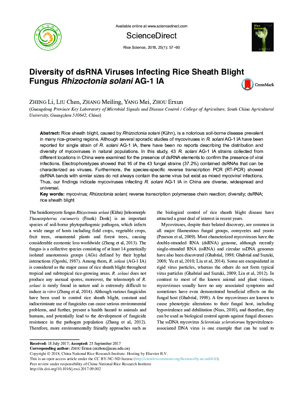 Diversity of dsRNA Viruses Infecting Rice Sheath Blight Fungus Rhizoctonia solani AG-1 IA