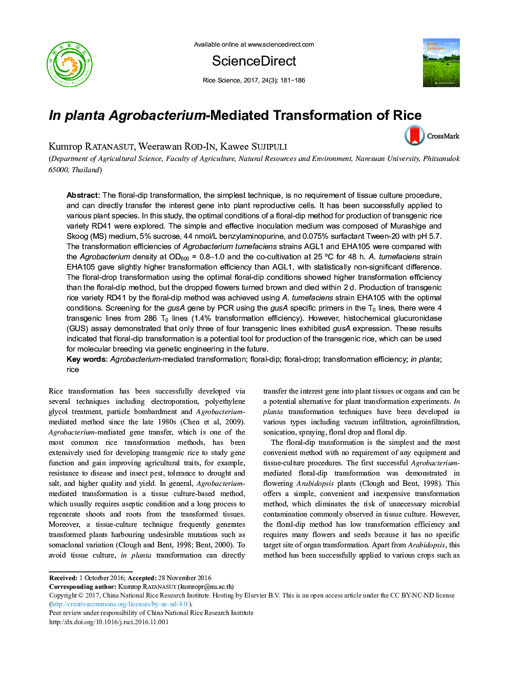 In planta Agrobacterium-Mediated Transformation of Rice