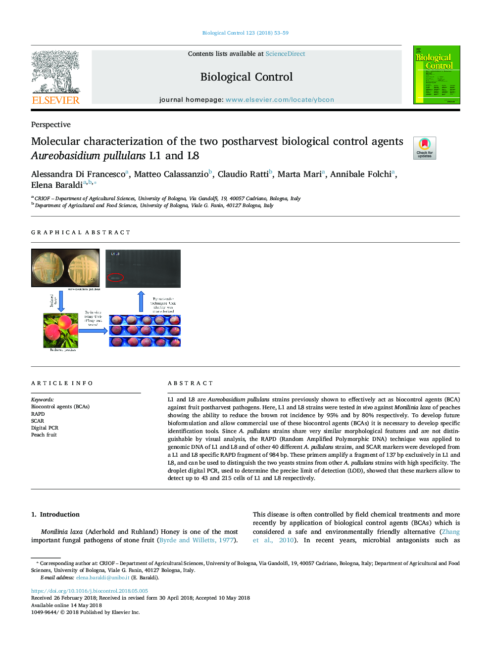 Molecular characterization of the two postharvest biological control agents Aureobasidium pullulans L1 and L8