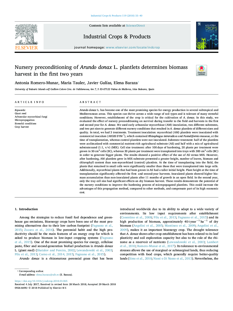 Nursery preconditioning of Arundo donax L. plantlets determines biomass harvest in the first two years