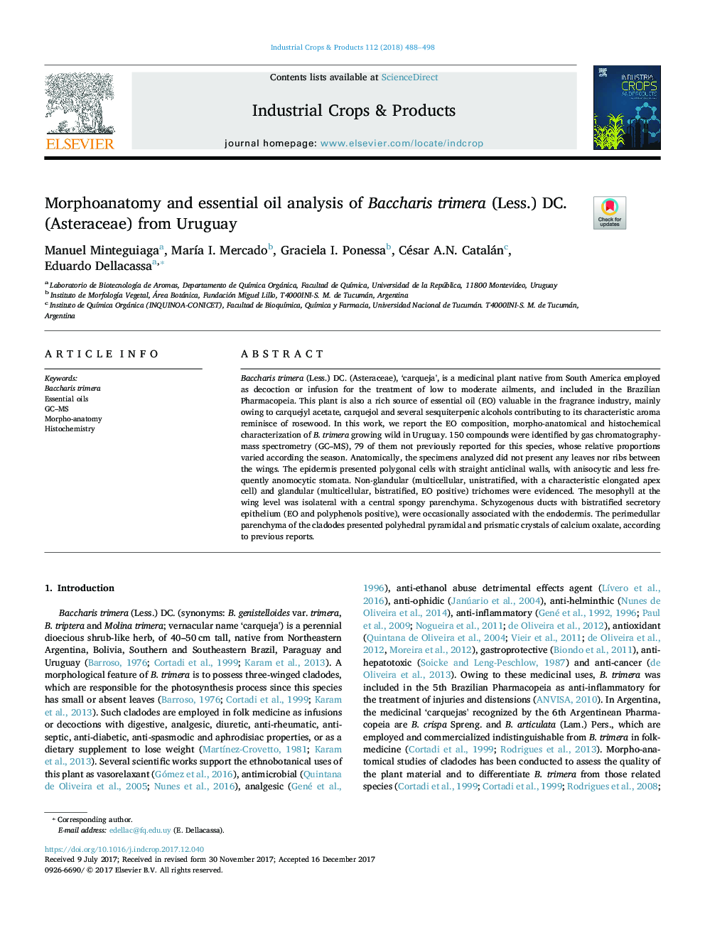 Morphoanatomy and essential oil analysis of Baccharis trimera (Less.) DC. (Asteraceae) from Uruguay