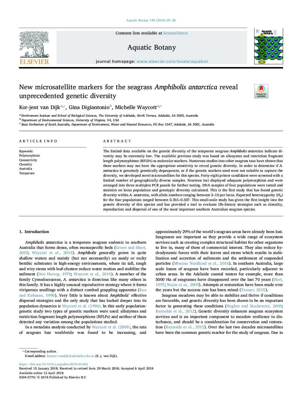 New microsatellite markers for the seagrass Amphibolis antarctica reveal unprecedented genetic diversity