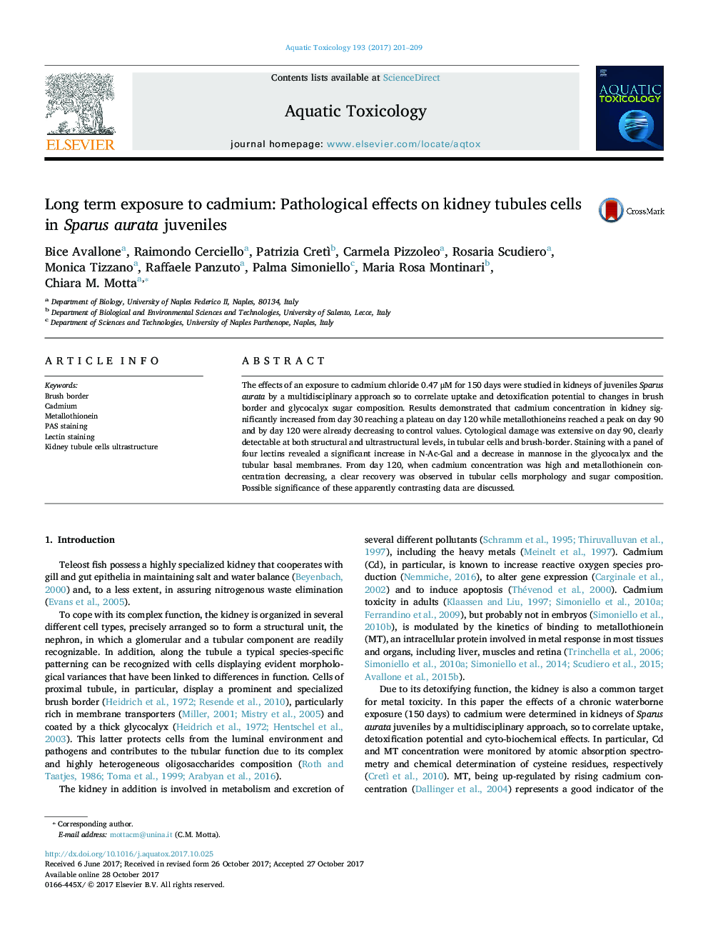 Long term exposure to cadmium: Pathological effects on kidney tubules cells in Sparus aurata juveniles