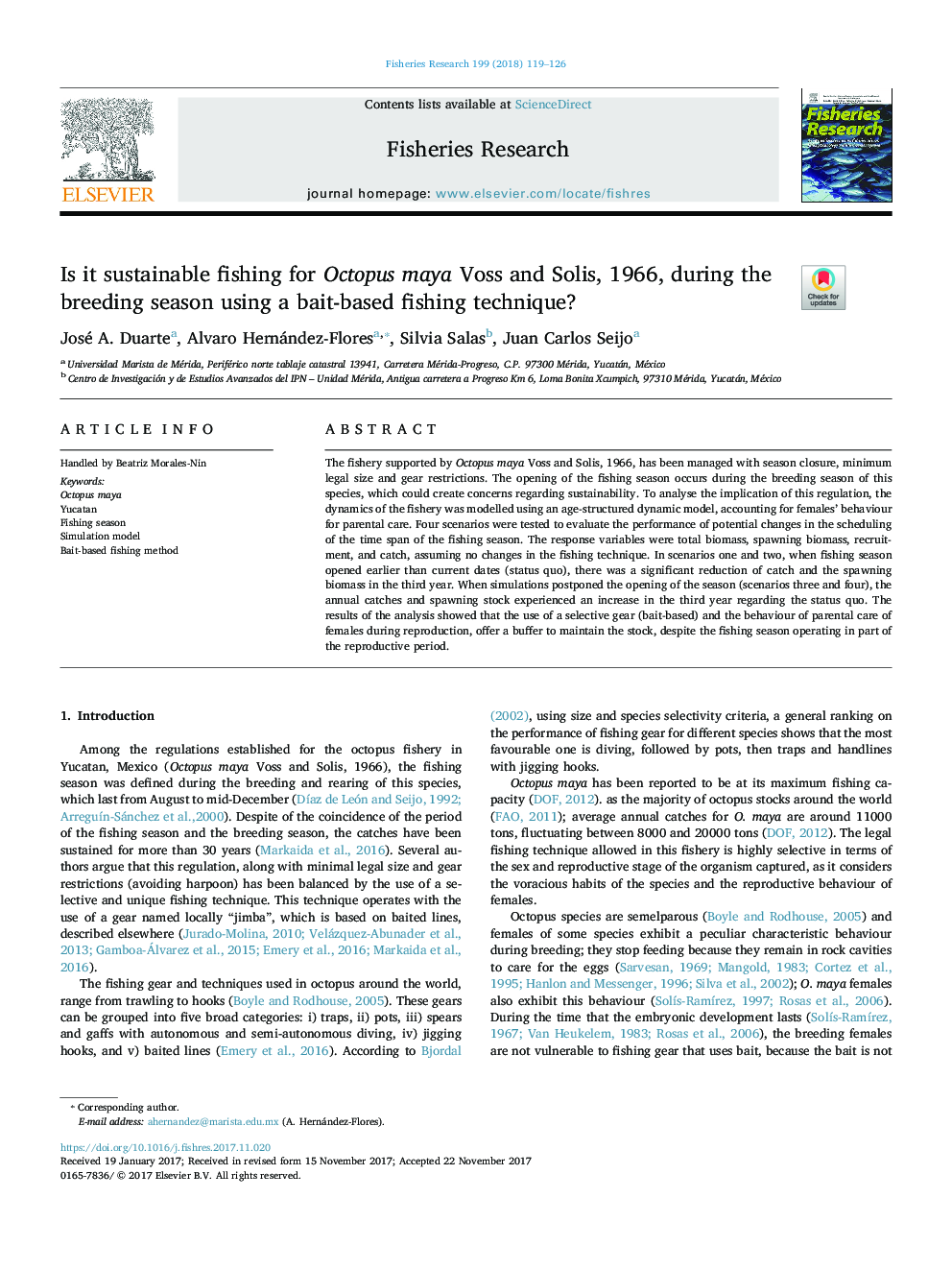 Is it sustainable fishing for Octopus maya Voss and Solis, 1966, during the breeding season using a bait-based fishing technique?