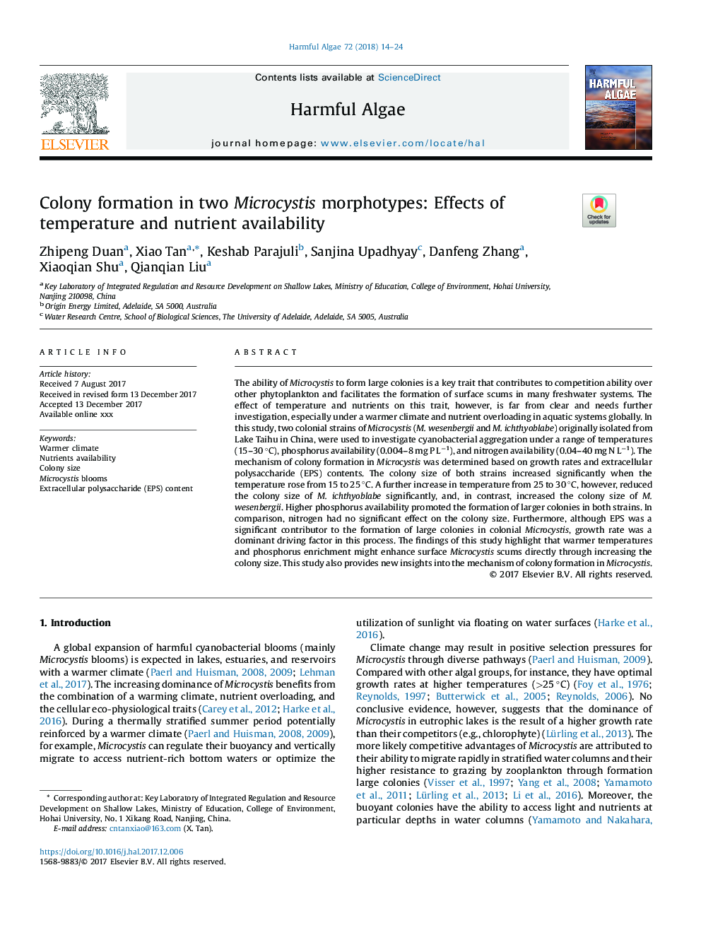 Colony formation in two Microcystis morphotypes: Effects of temperature and nutrient availability