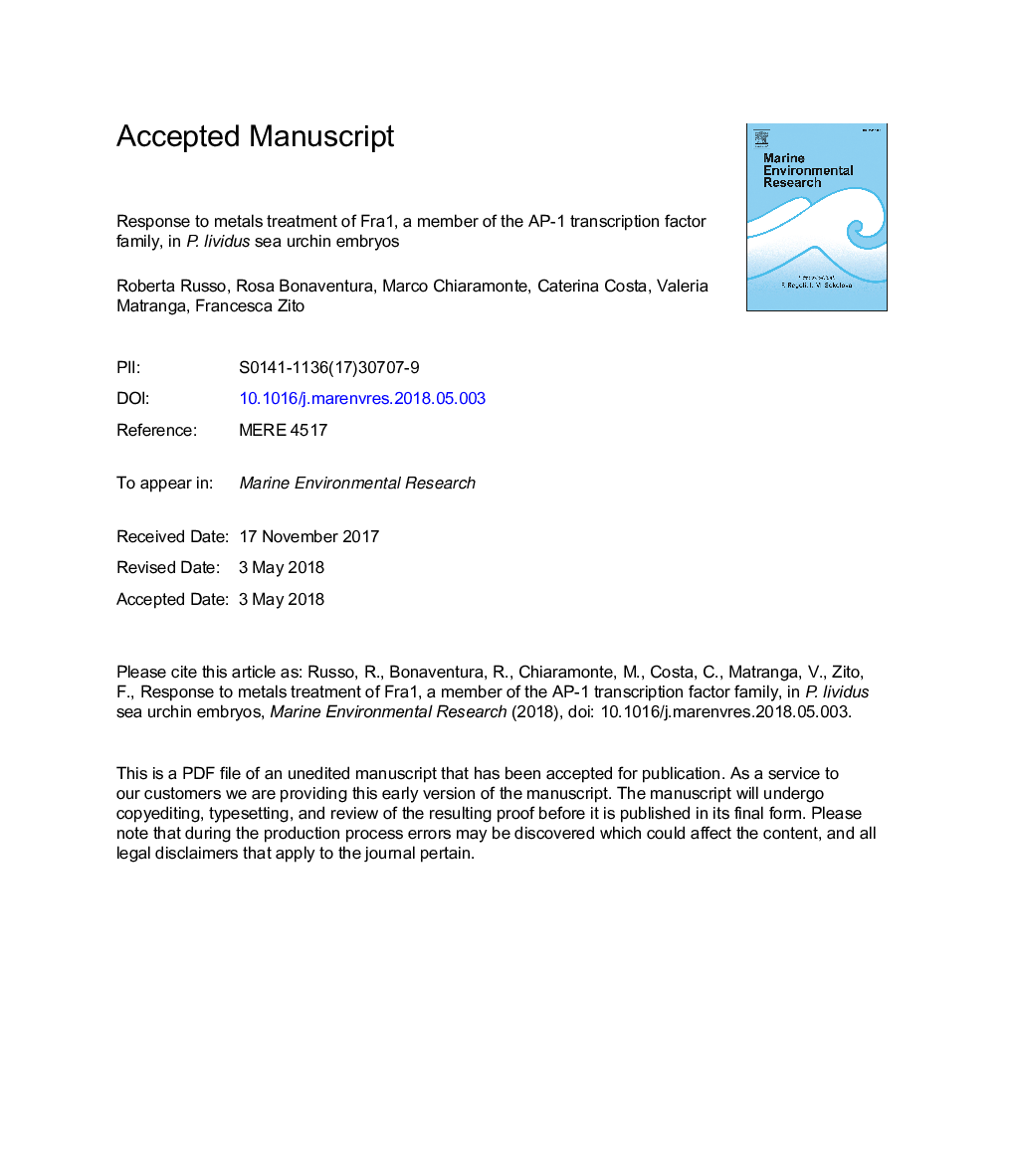 Response to metals treatment of Fra1, a member of the AP-1 transcription factor family, in P. lividus sea urchin embryos