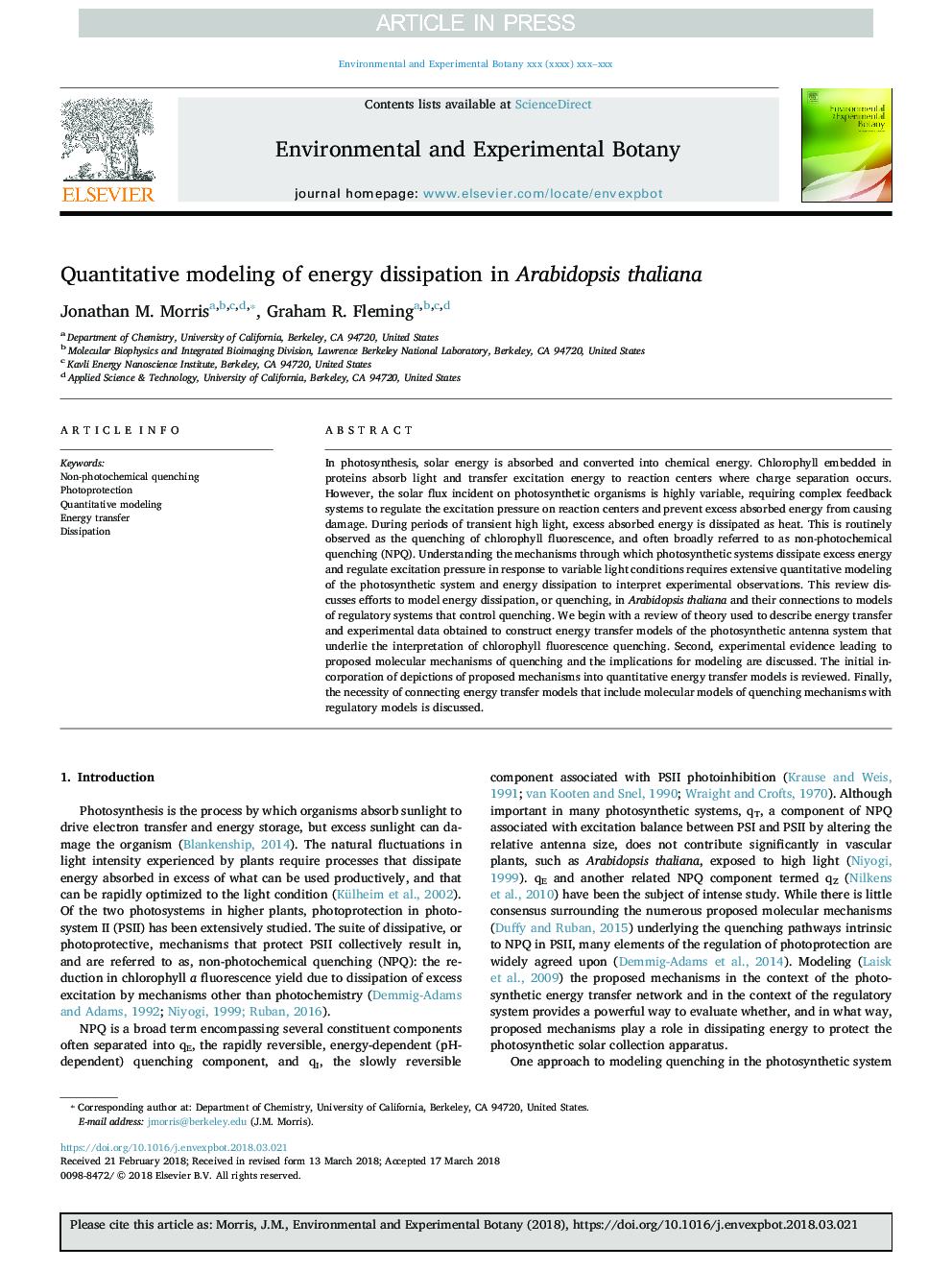 Quantitative modeling of energy dissipation in Arabidopsis thaliana