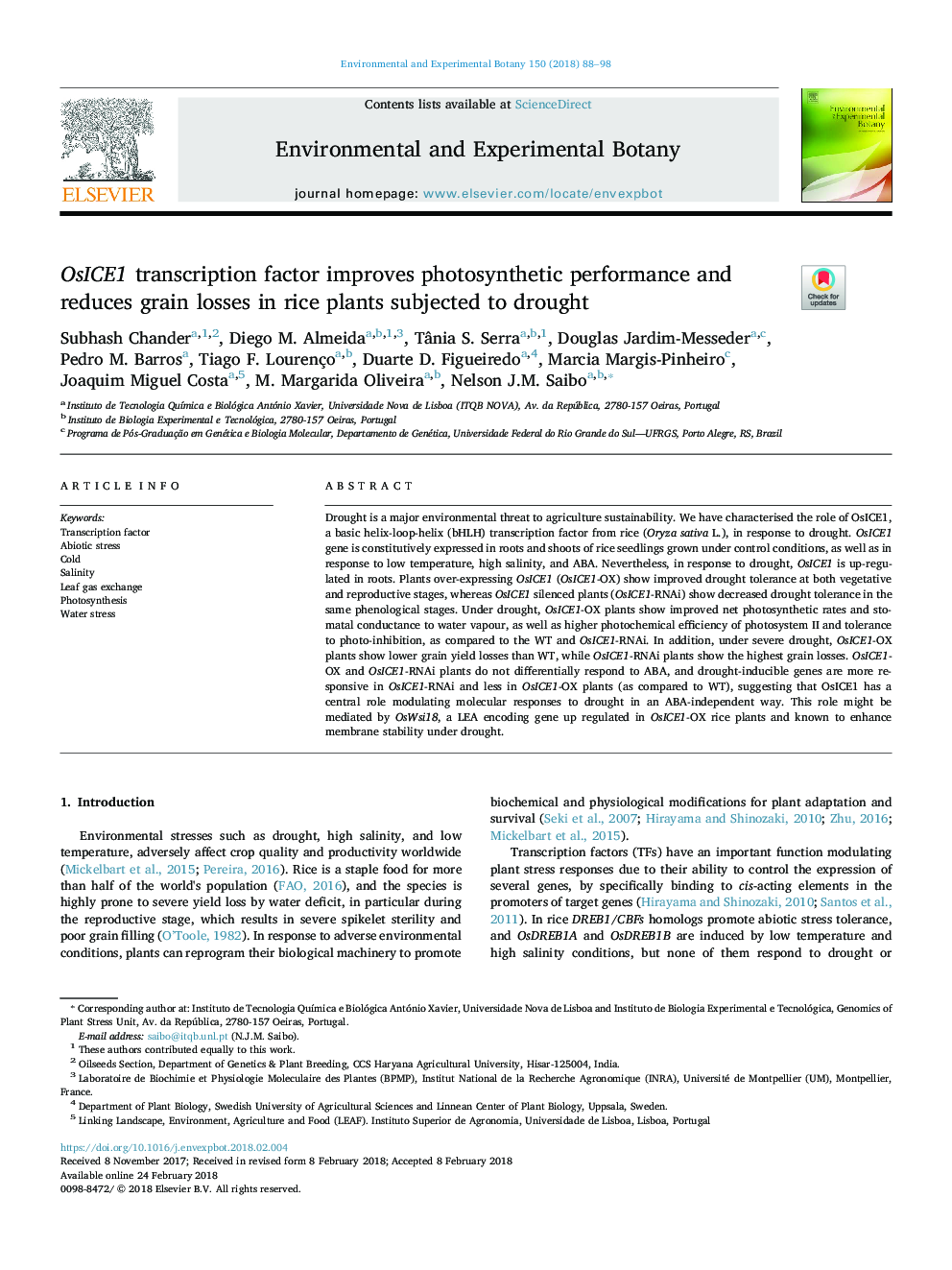 OsICE1 transcription factor improves photosynthetic performance and reduces grain losses in rice plants subjected to drought