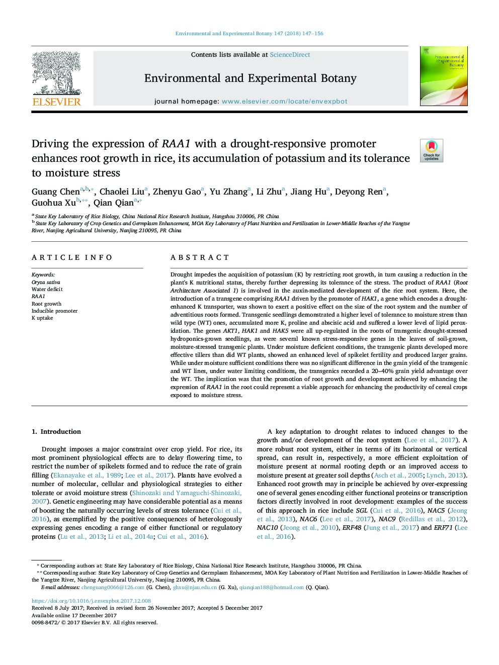 Driving the expression of RAA1 with a drought-responsive promoter enhances root growth in rice, its accumulation of potassium and its tolerance to moisture stress