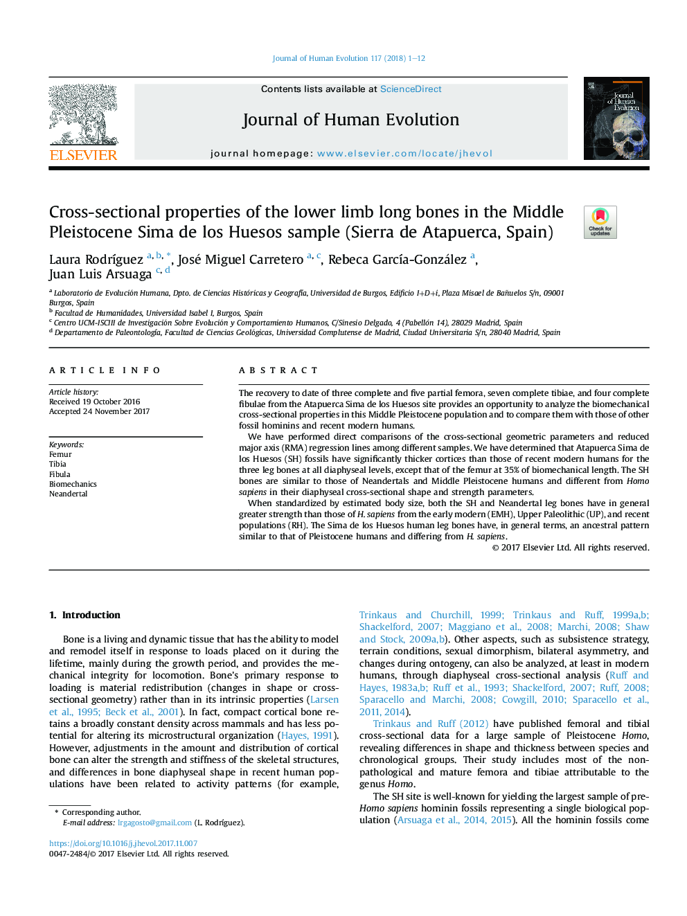 Cross-sectional properties of the lower limb long bones in the Middle Pleistocene Sima de los Huesos sample (Sierra de Atapuerca, Spain)