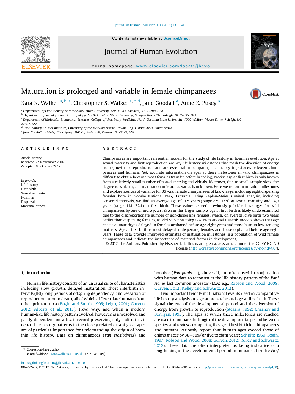 Maturation is prolonged and variable in female chimpanzees