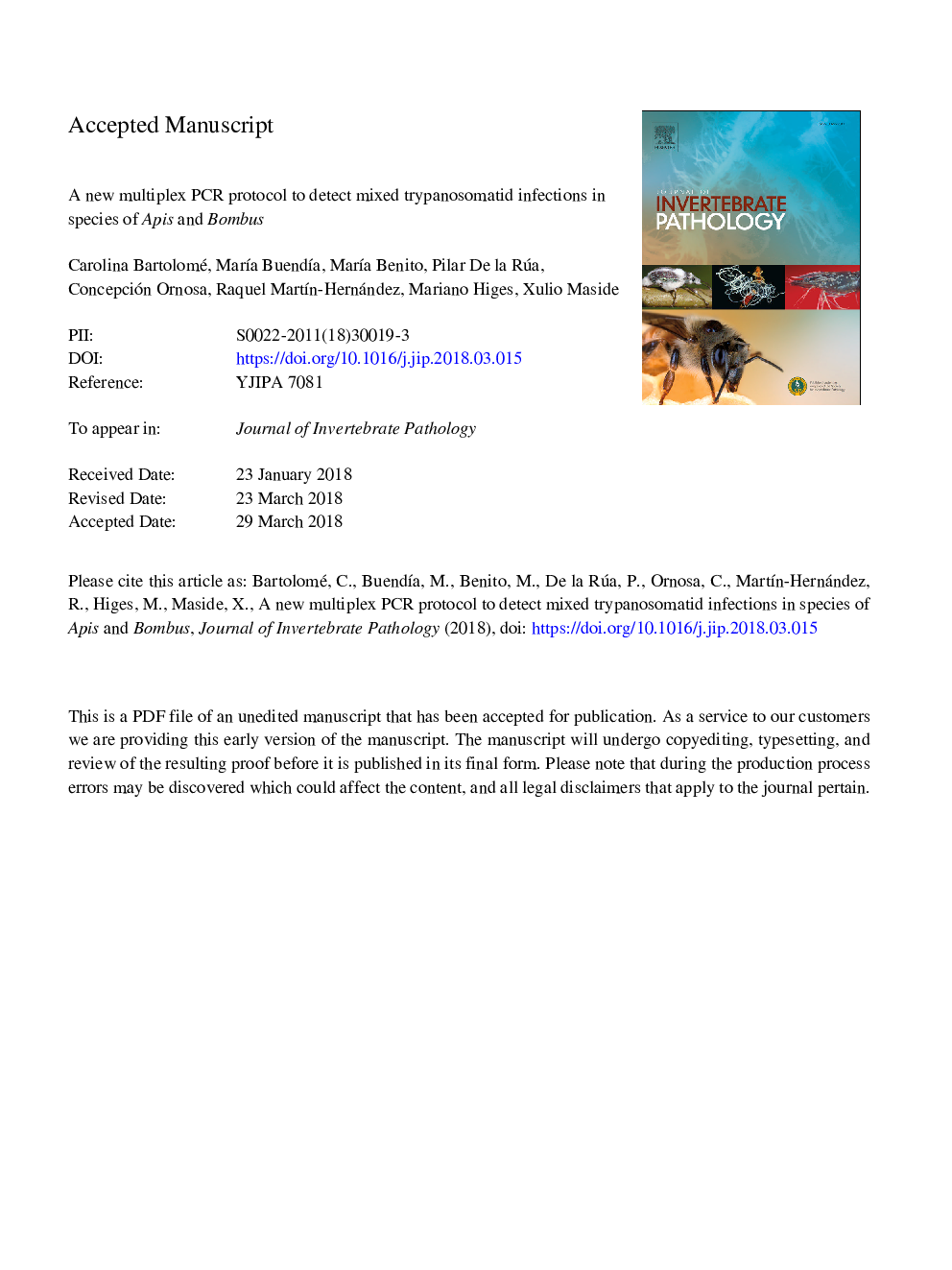 A new multiplex PCR protocol to detect mixed trypanosomatid infections in species of Apis and Bombus