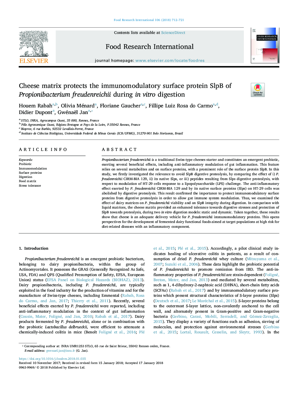 Cheese matrix protects the immunomodulatory surface protein SlpB of Propionibacterium freudenreichii during in vitro digestion