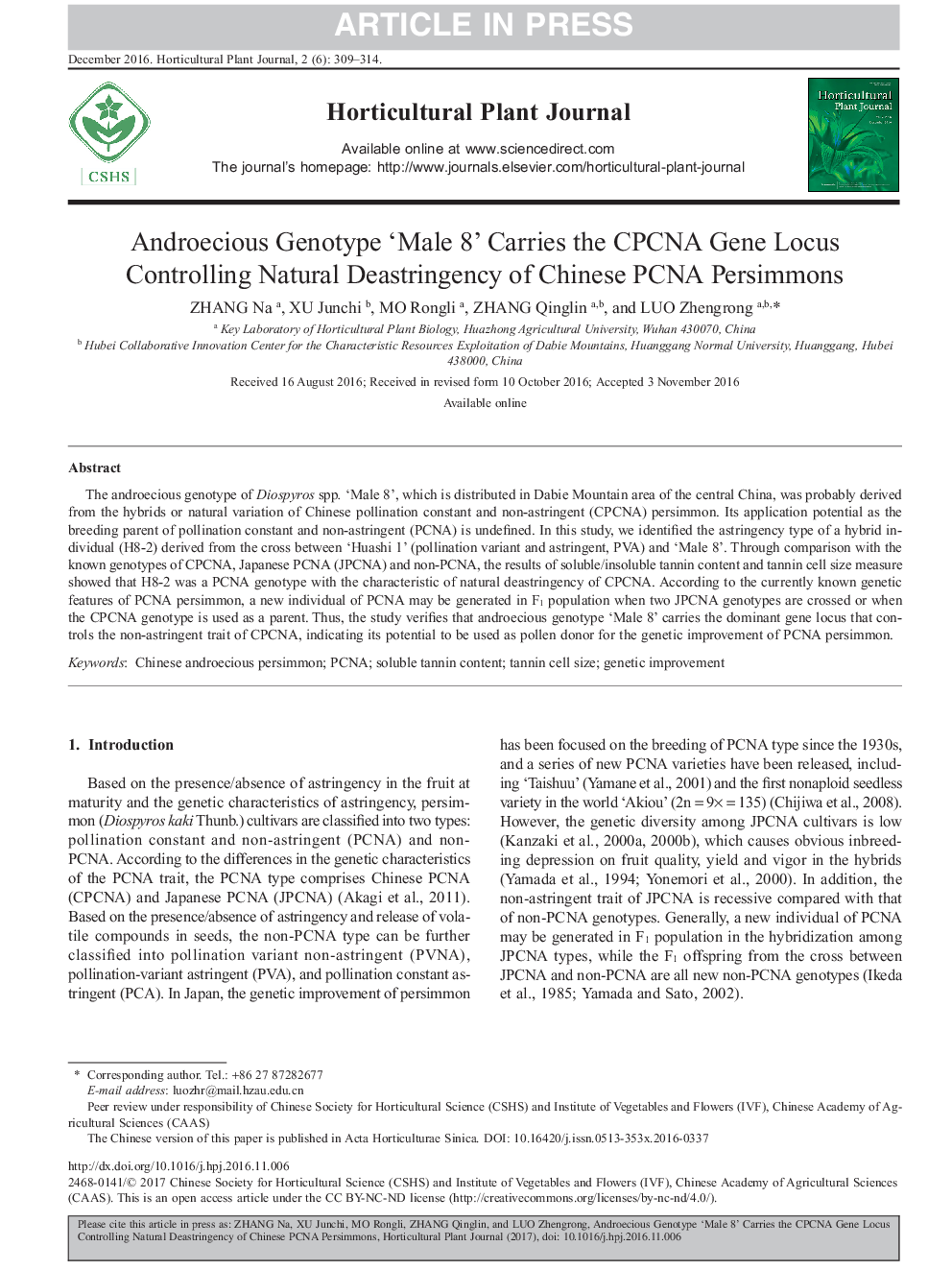 Androecious Genotype 'Male 8' Carries the CPCNA Gene Locus Controlling Natural Deastringency of Chinese PCNA Persimmons