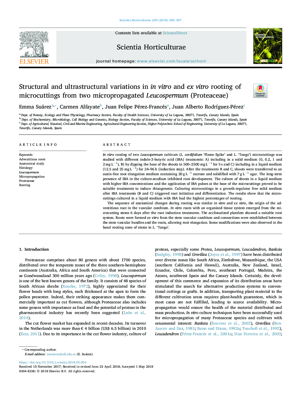 Structural and ultrastructural variations in in vitro and ex vitro rooting of microcuttings from two micropropagated Leucospermum (Proteaceae)