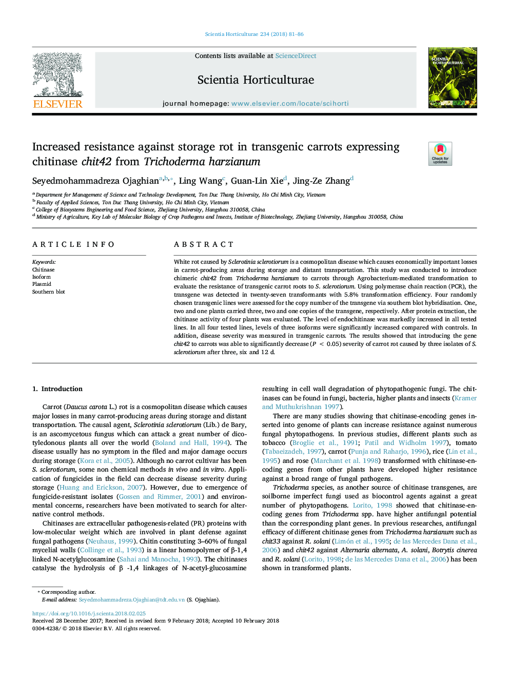 Increased resistance against storage rot in transgenic carrots expressing chitinase chit42 from Trichoderma harzianum