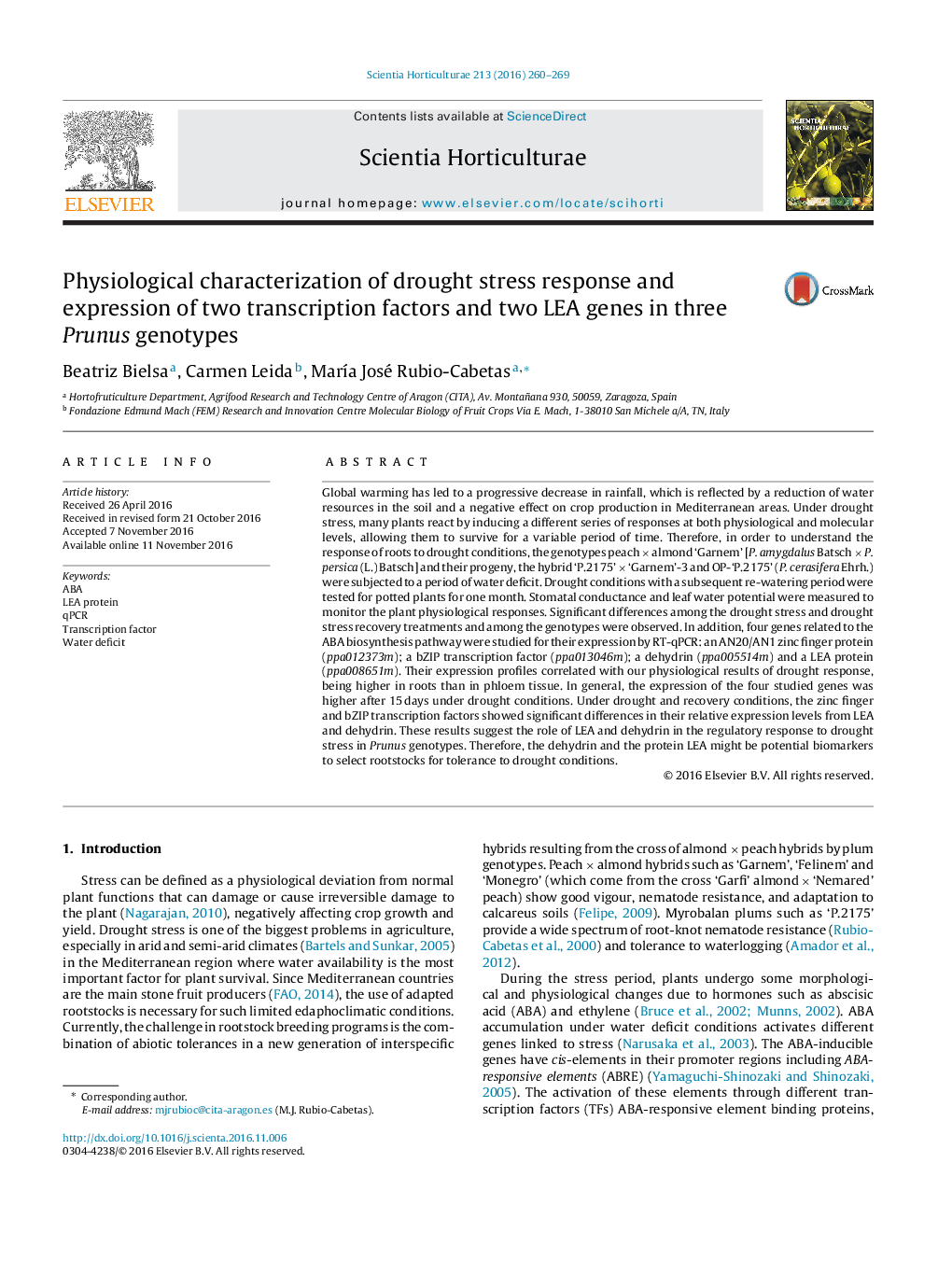 Physiological characterization of drought stress response and expression of two transcription factors and two LEA genes in three Prunus genotypes