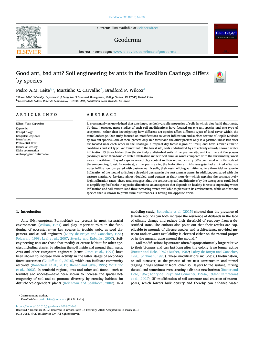 Good ant, bad ant? Soil engineering by ants in the Brazilian Caatinga differs by species